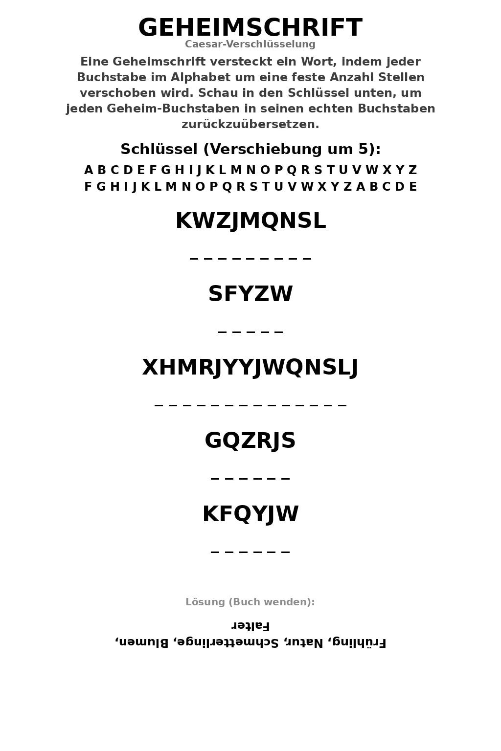 Kostenlose Malvorlage Schmetterlinge
