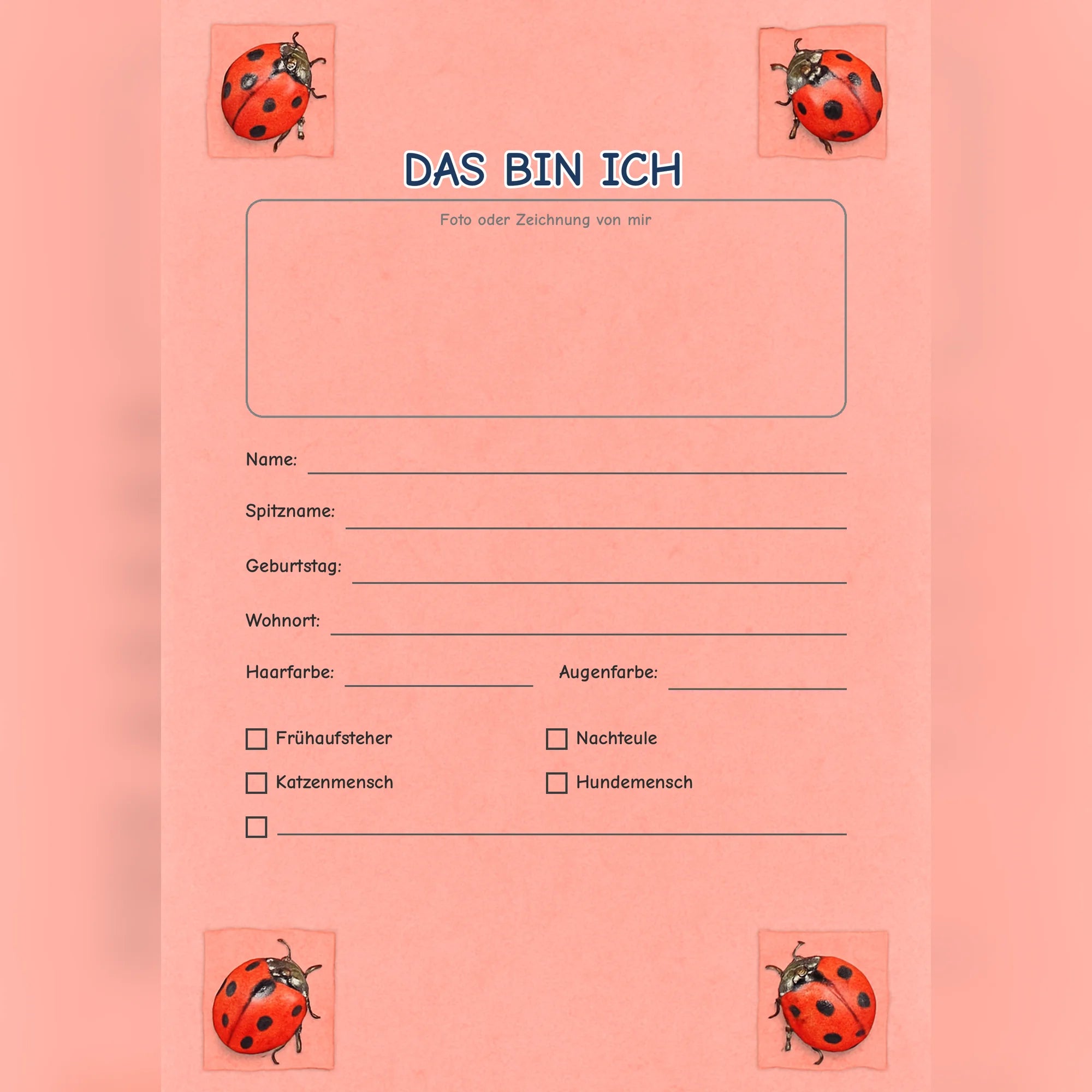 Freundebuch Ladybug preview