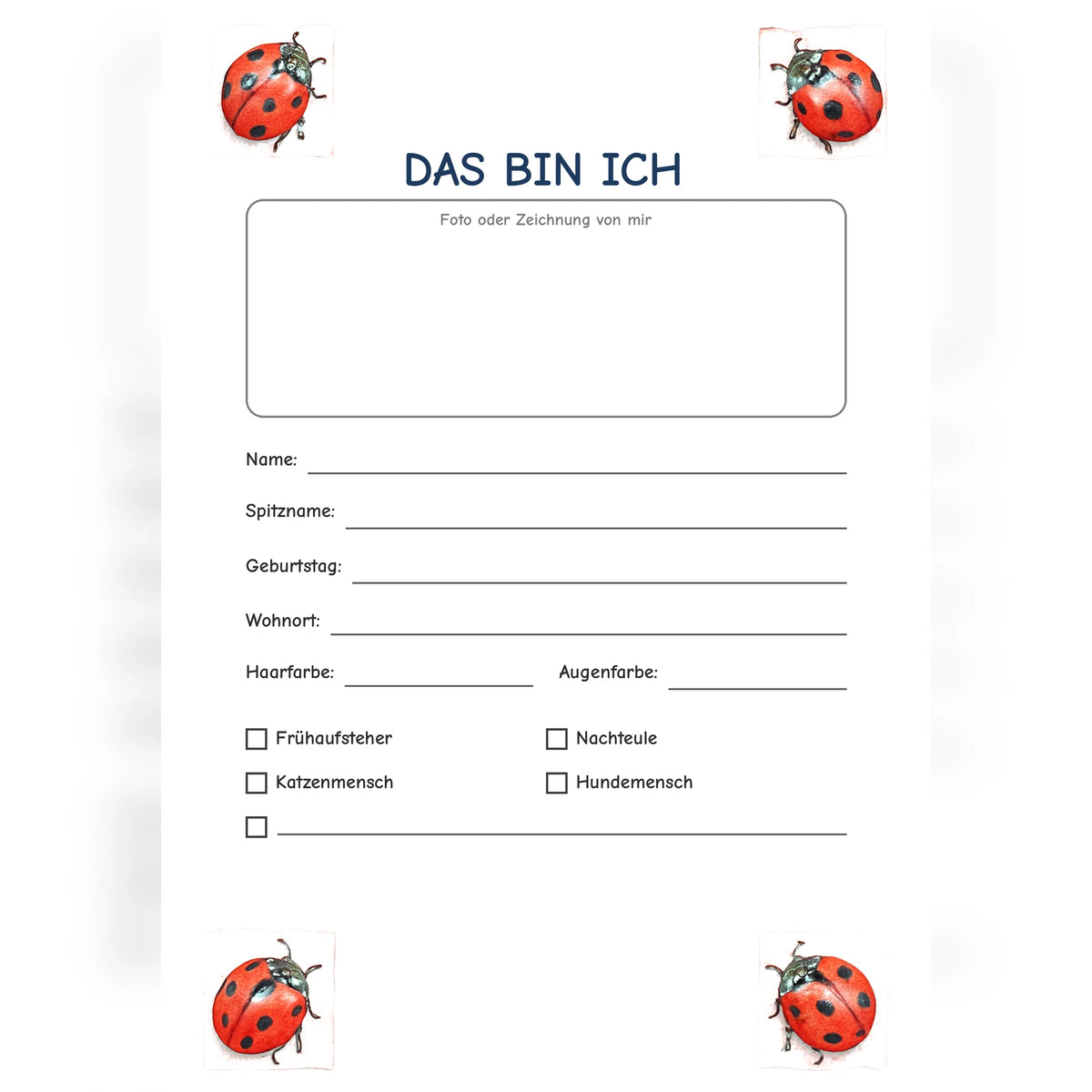 Freundebuch Ladybug
