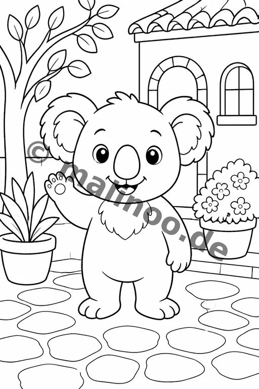 Koala's – Bild 4