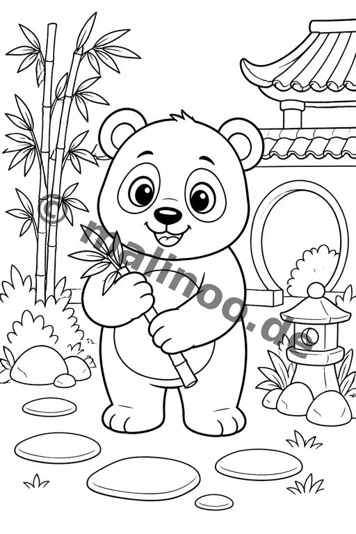 Panda's – Bild 4