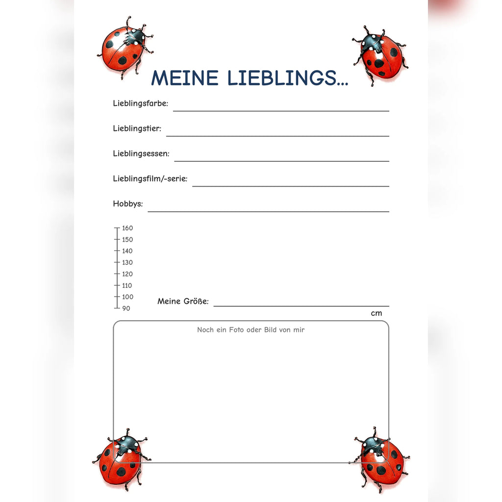 Freundebuch Ladybug