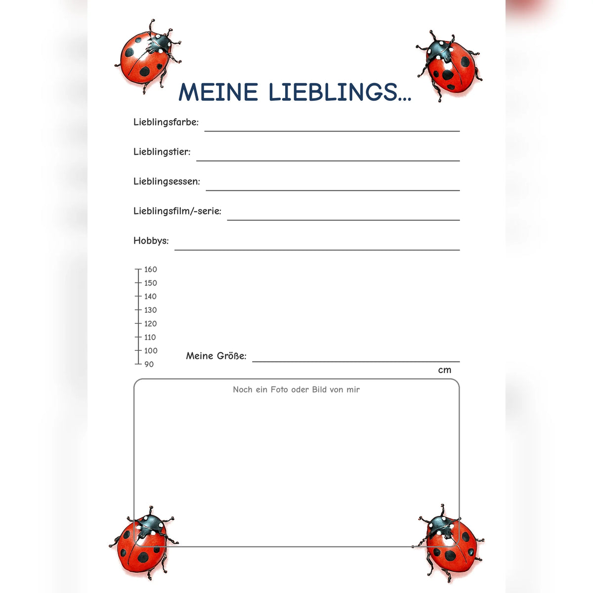 Freundebuch Ladybug