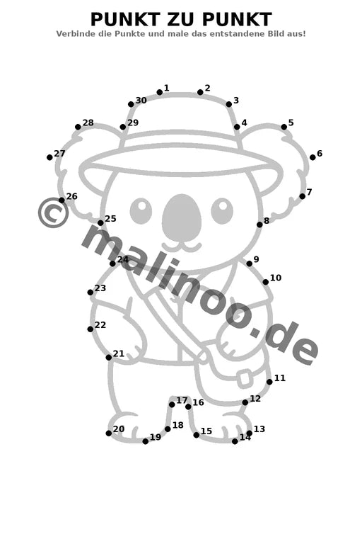 Koala's – Bild 5