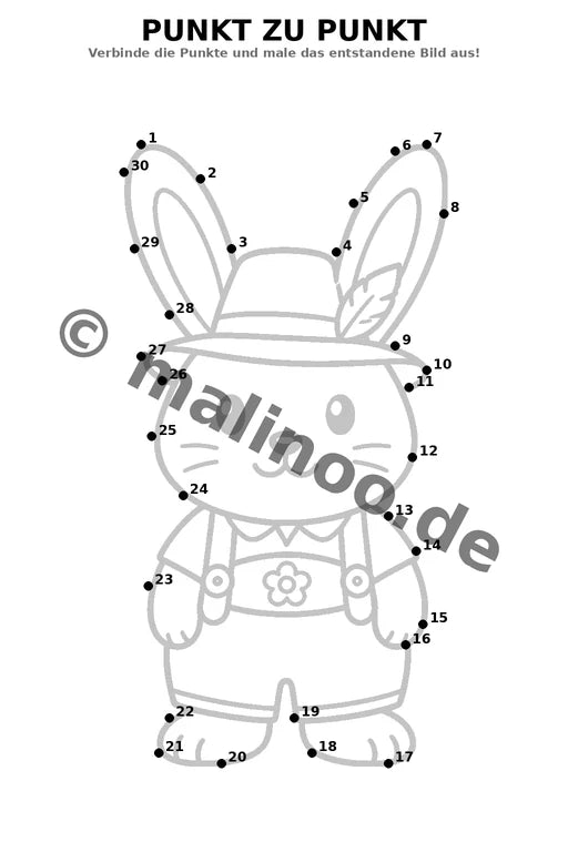 Hasen – Bild 5