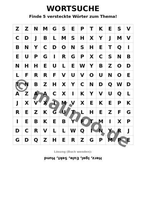 Silvester – Bild 5