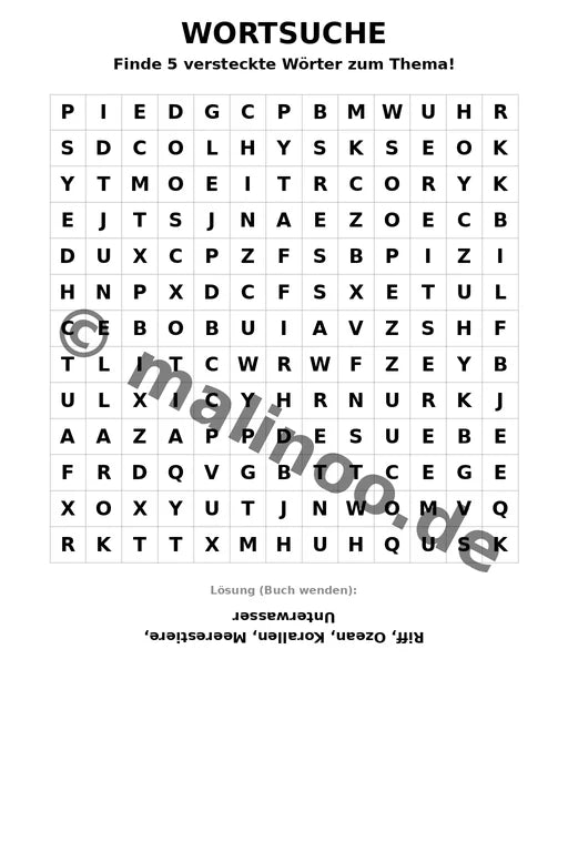 Korallenriffe – Bild 5