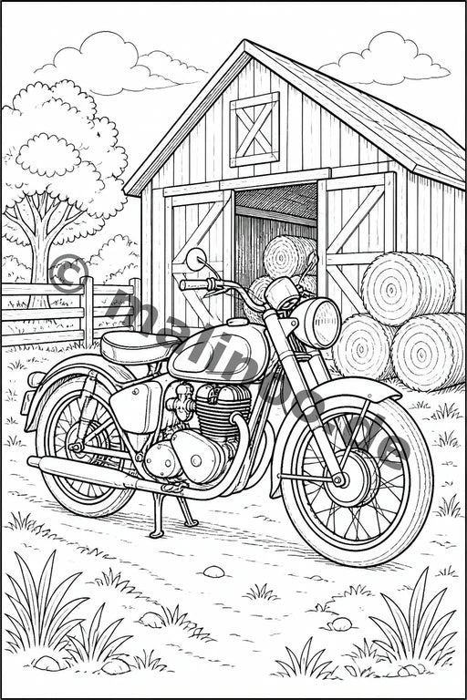 Motorräder – Bild 5