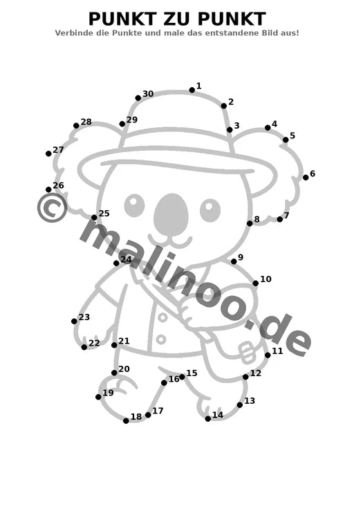 Koala's – Bild 5