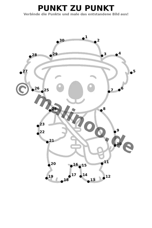 Koala's – Bild 5