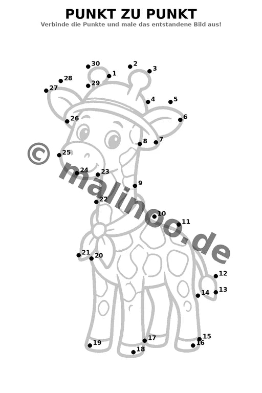Giraffen – Bild 5