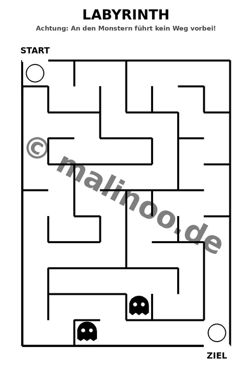 Meerschweinchen – Bild 5
