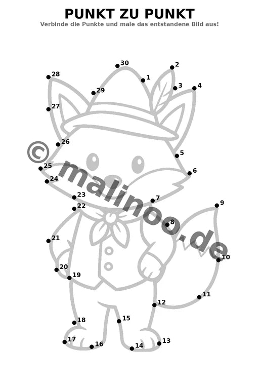 Füchse – Bild 5