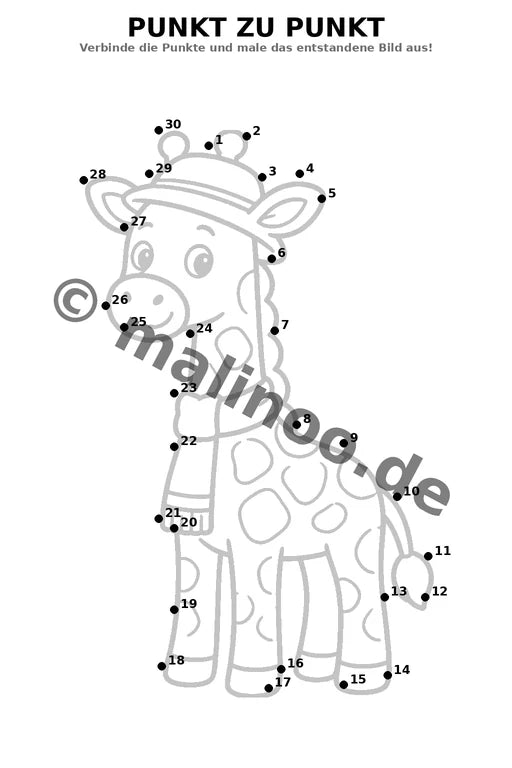 Giraffen – Bild 5