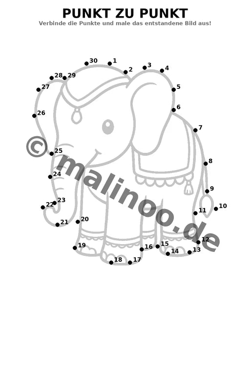 Elefanten – Bild 5