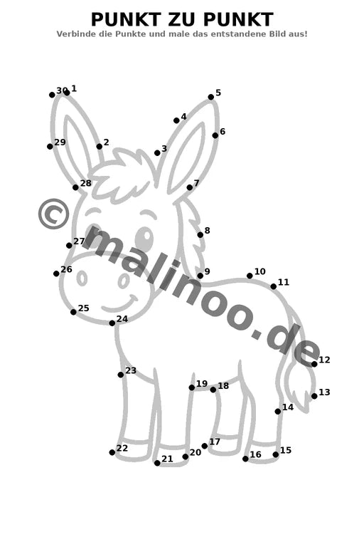 Esel – Bild 5