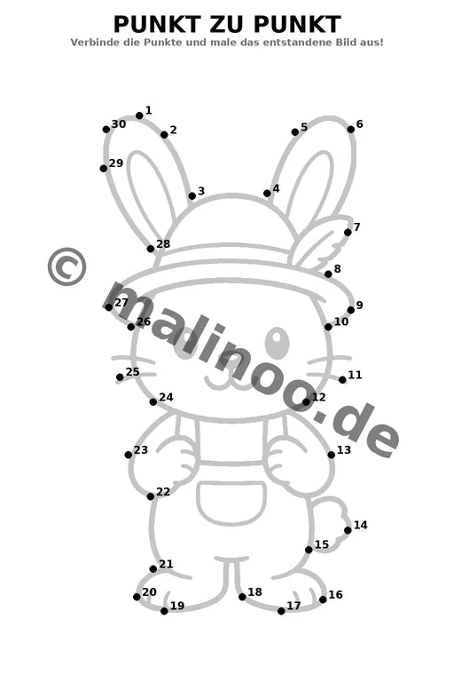 Hasen – Bild 5