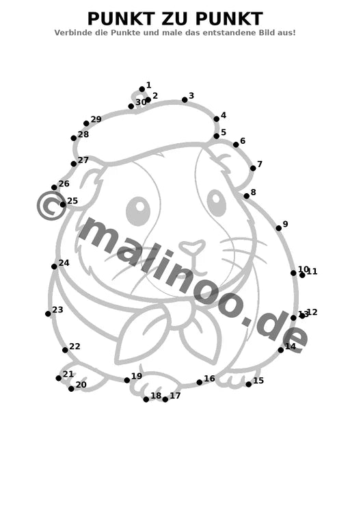 Meerschweinchen – Bild 6