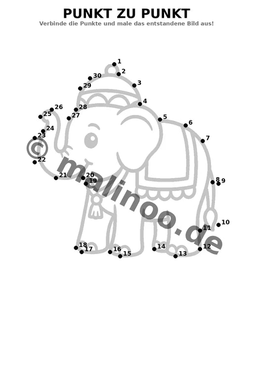 Elefanten – Bild 6
