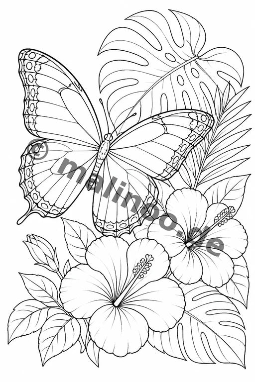 Schmetterlinge – Bild 6