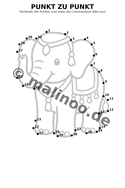 Elefanten – Bild 6