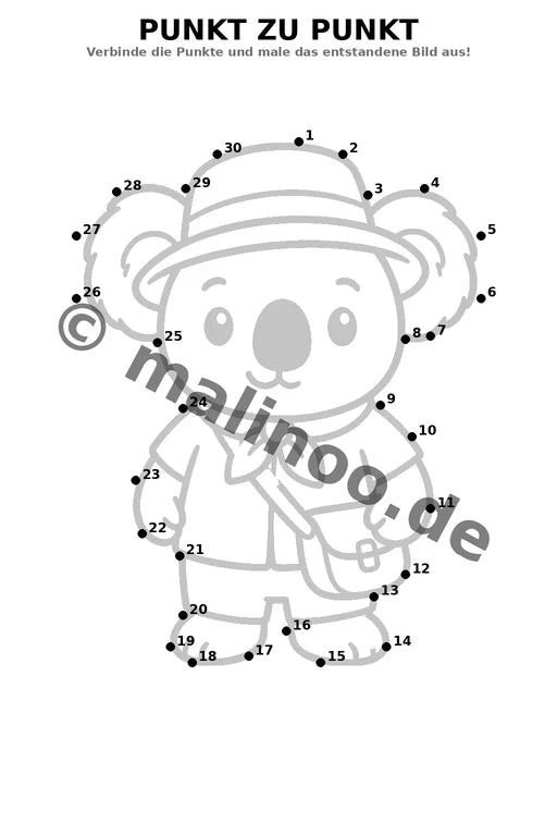 Koala's – Bild 6