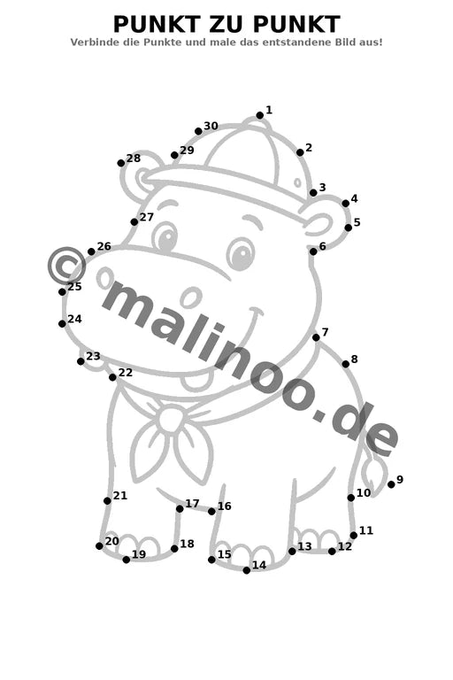 Flusspferde – Bild 6