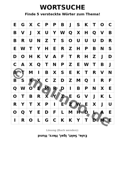 Silvester – Bild 6