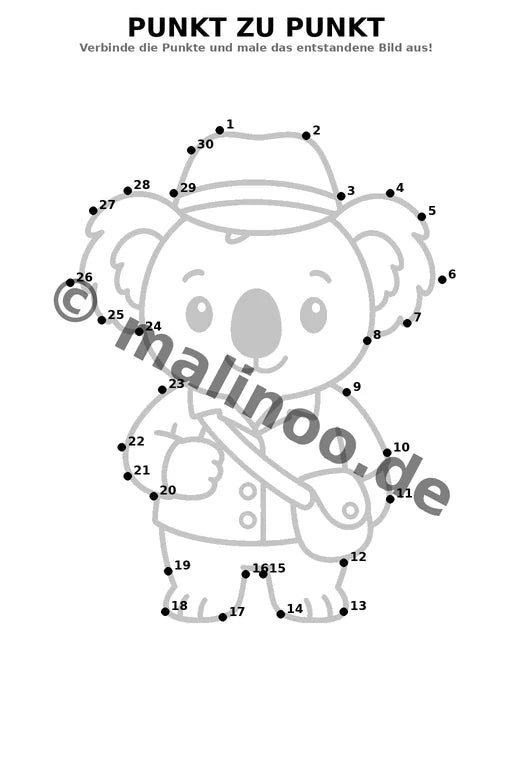 Koala's – Bild 6