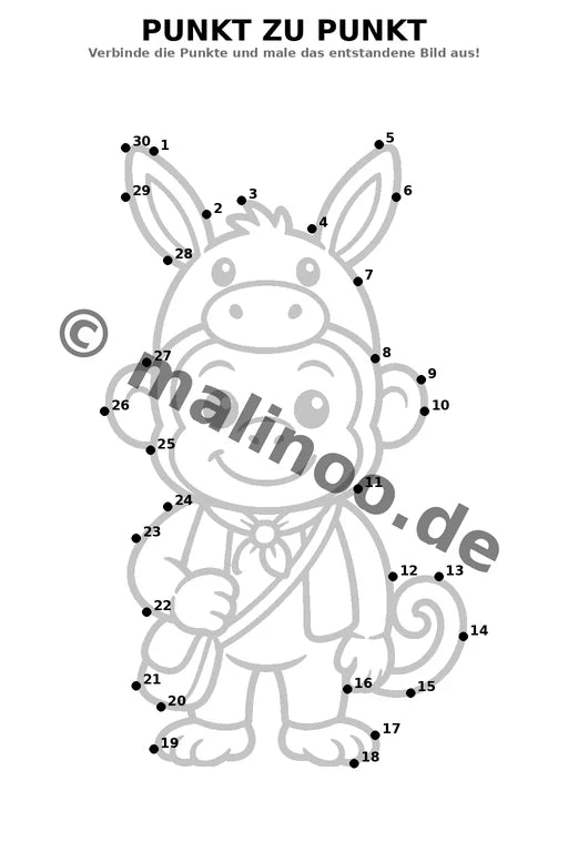 Esel – Bild 6