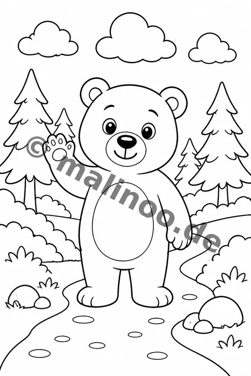 Bären – Bild 6