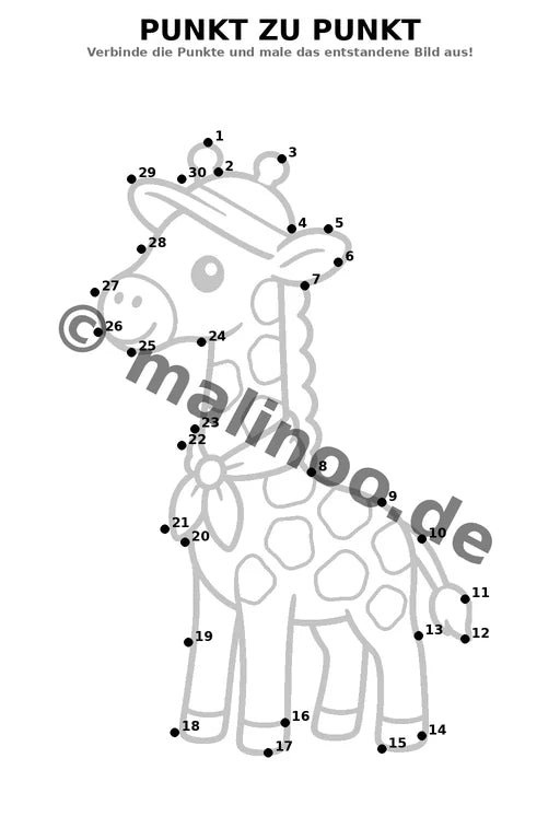 Giraffen – Bild 6