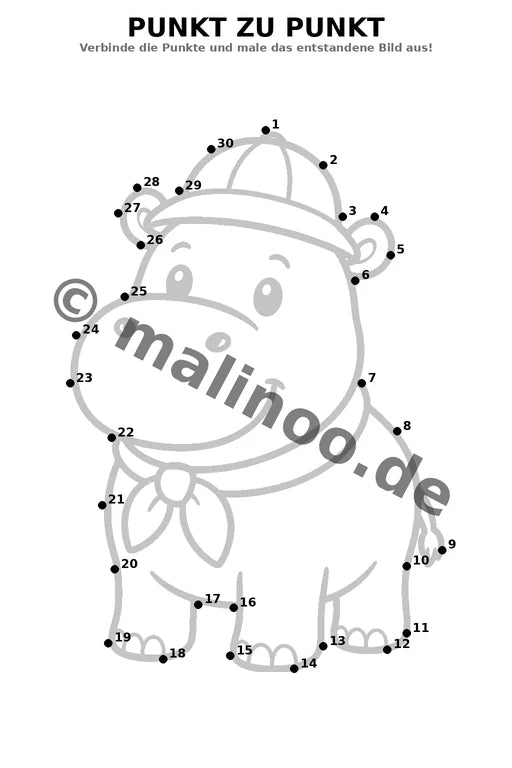 Flusspferde – Bild 6