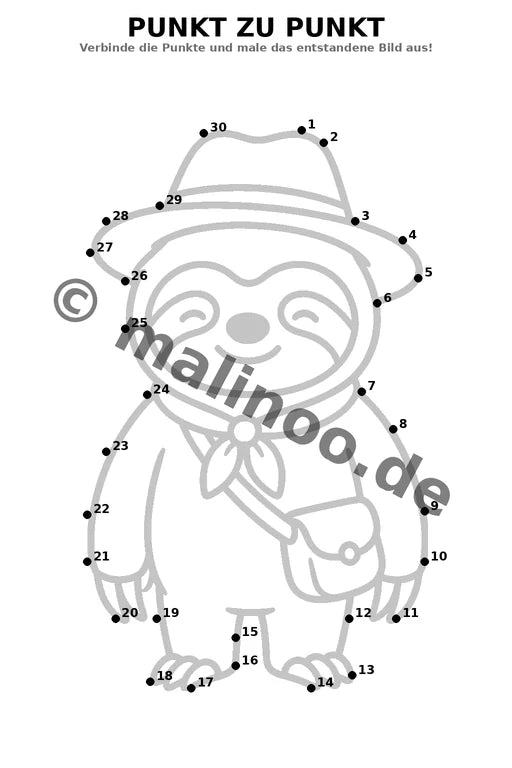 Faultiere – Bild 6