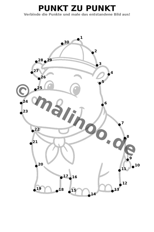 Flusspferde – Bild 6