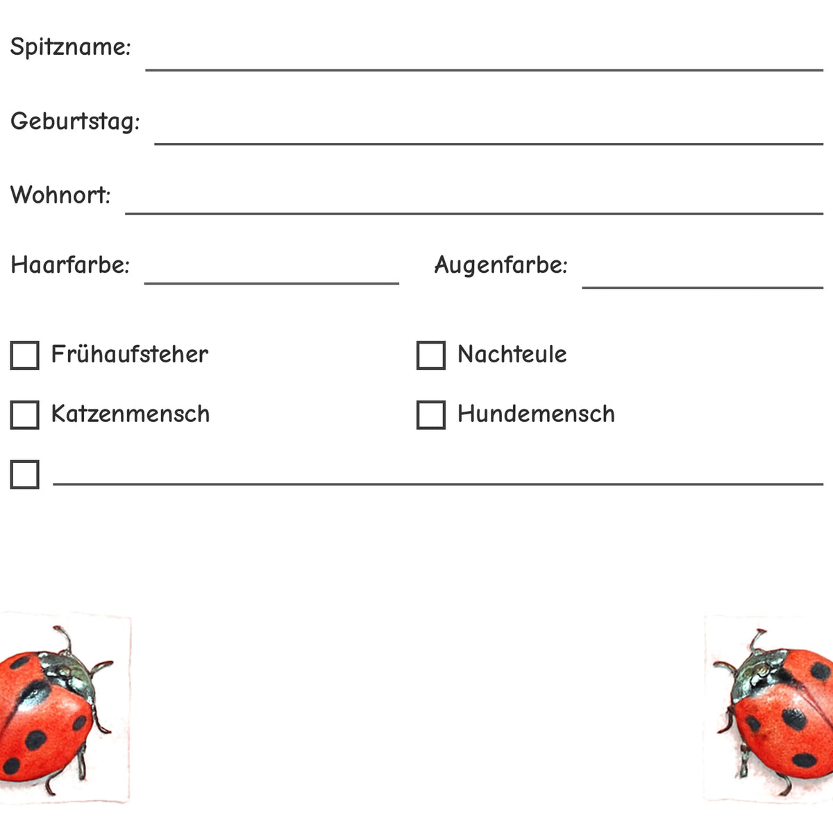 Freundebuch Ladybug