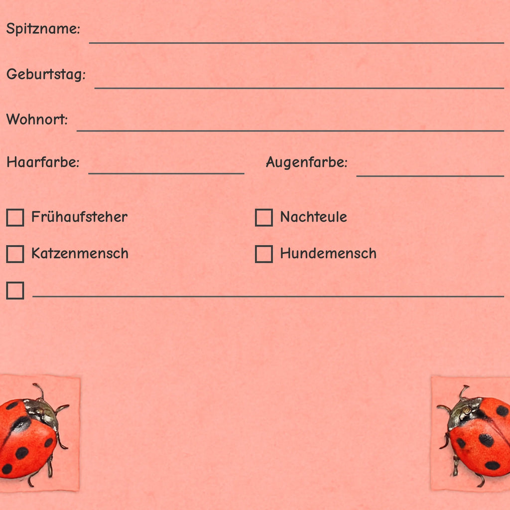 Freundebuch Ladybug detail ankreuzfelder