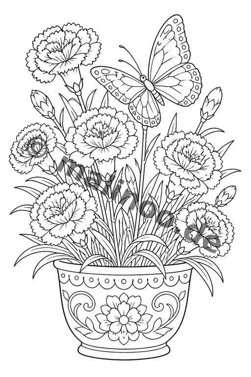 Schmetterlinge – Bild 7