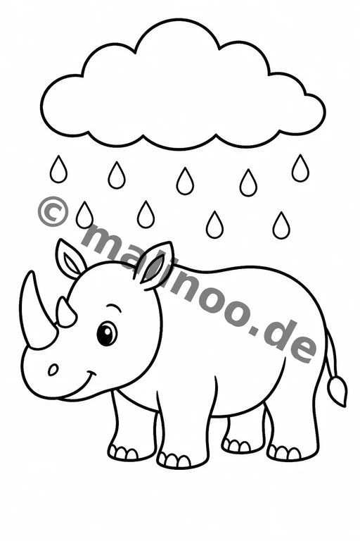 Nashörner – Bild 7