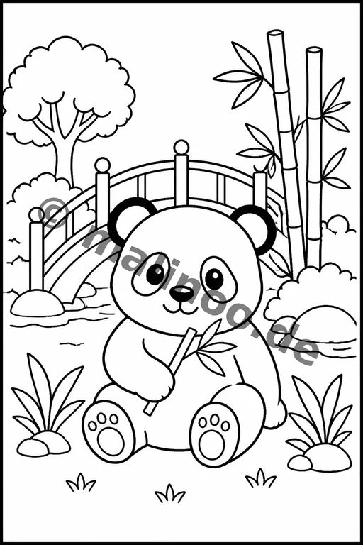 Panda's – Bild 7