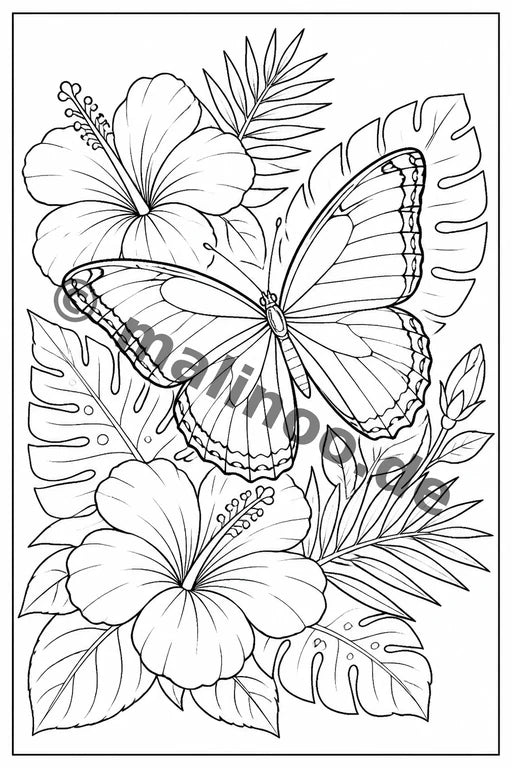 Schmetterlinge – Bild 7