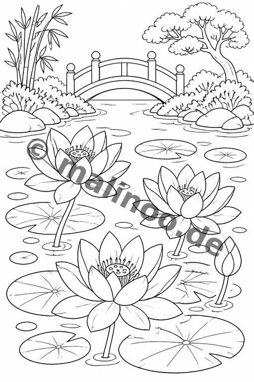 Blumen – Bild 7