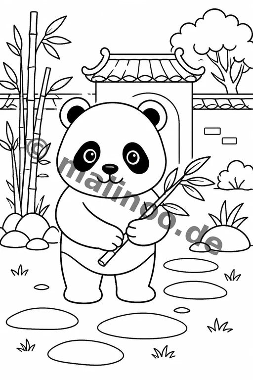 Panda's – Bild 8