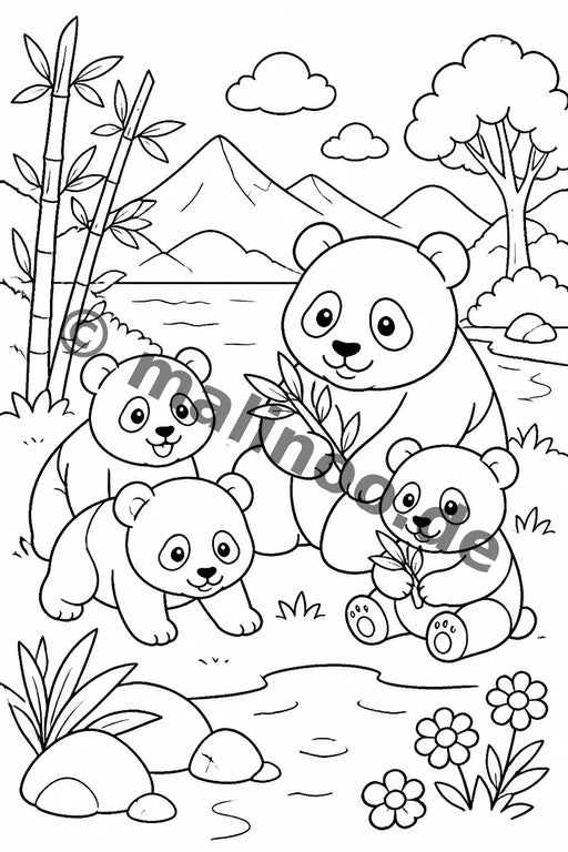 Panda's – Bild 8