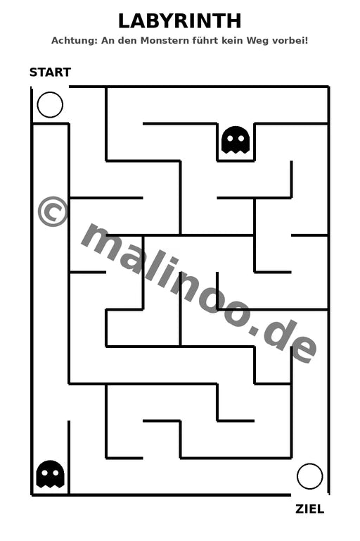 Bären – Bild 8