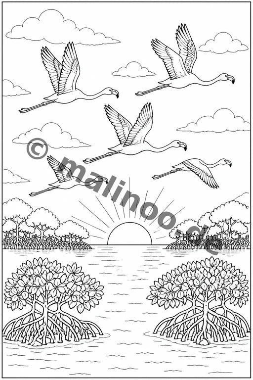 Flamingos – Bild 8