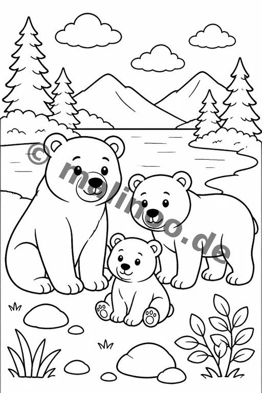 Bären – Bild 8
