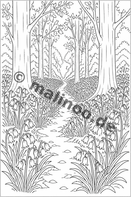 Blumen – Bild 8