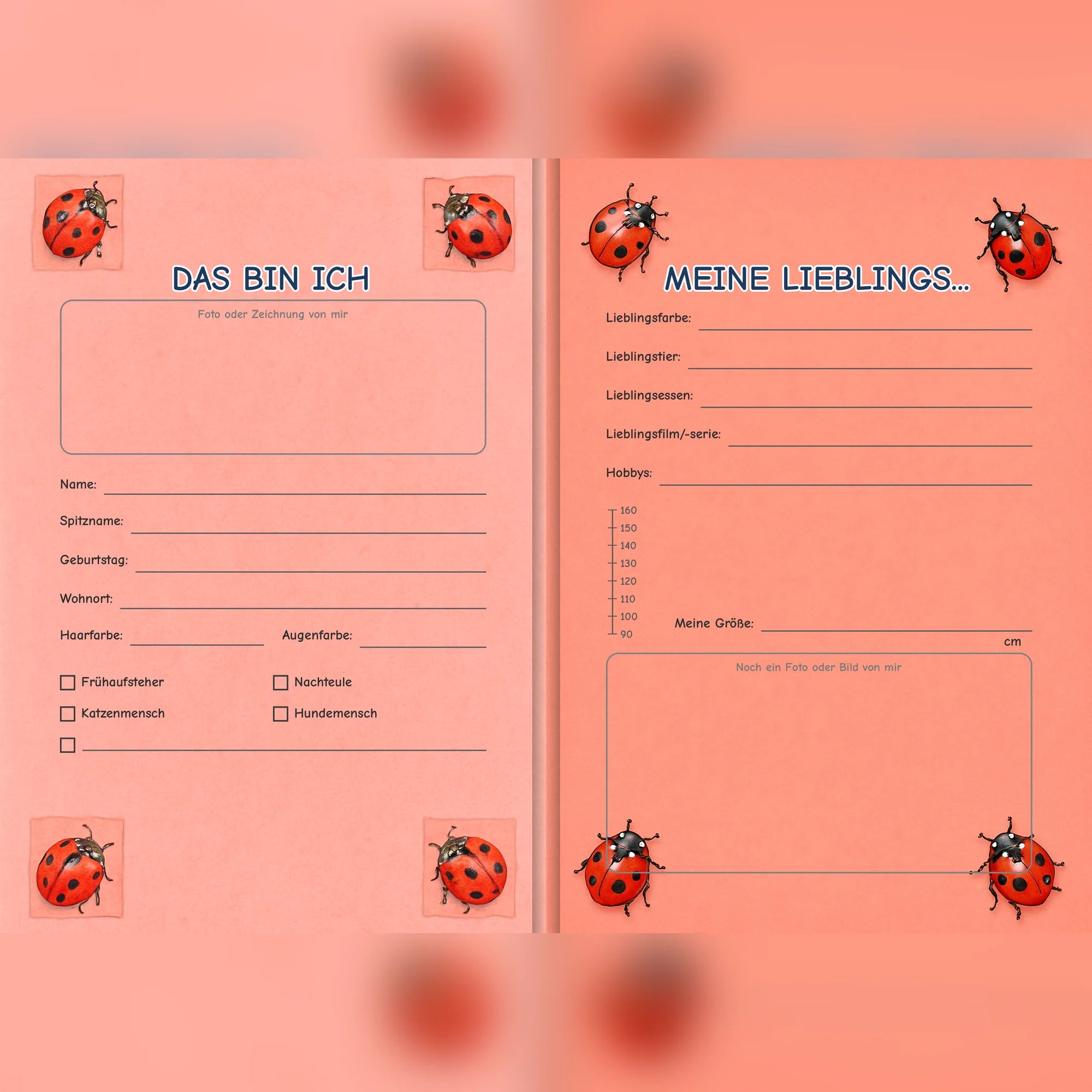 Freundebuch Ladybug doppelseite