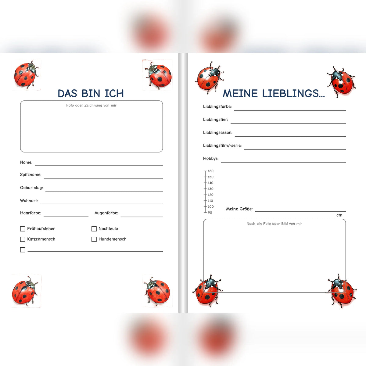 Freundebuch Ladybug